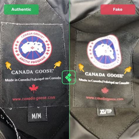 fake canada goose size medium